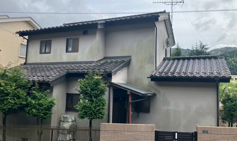 画像2019